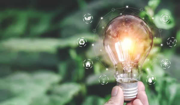 Hand holding light bulb ideas on a background of blurred green trees Ecological energy efficiency energy efficiency concept Together with the conservation of alternative energy and alternative energy.